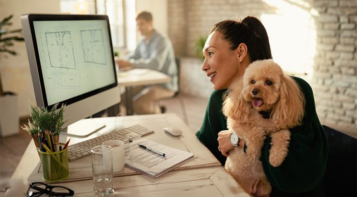 Hunde am Arbeitsplatz wirken sich positiv auf das Arbeitsklima aus. 