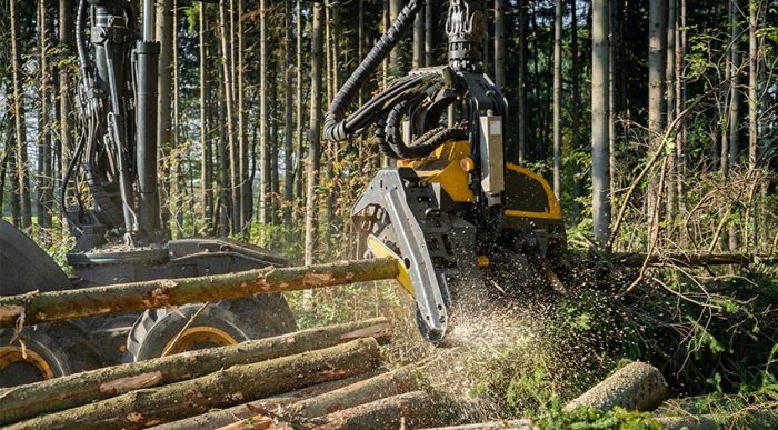 Ein Harvester im Einsatz bei der Waldarbeit. Durch regelmäßige Schulungen und Überprüfung der Sicherheitsmaßnahmen, schaffst du eine sichere Arbeitsumgebung. © Adobe Stock, Countrypixel