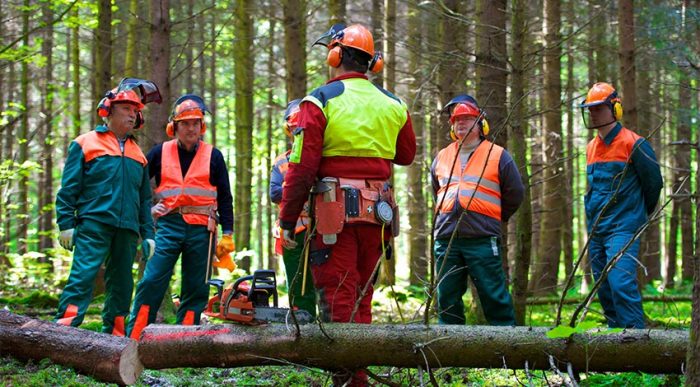 Waldarbeiter erhalten im Team eine Schulung von ihrem Arbeitgeber. Der Einsatz von persönlicher Schutzausrüstung ist elementar zum Schutz deiner Mitarbeitenden bei der Waldarbeit. © Adobe Stock, AK-DigiArt