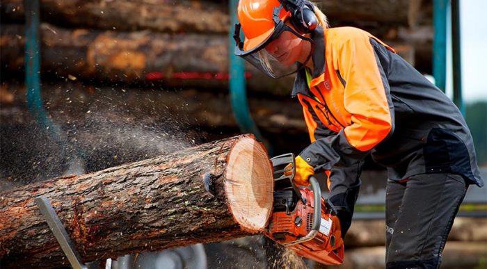 Eine Waldarbeiterin sägt mit der Säge einen Holzstamm und schützt sich mit der PSA. © Adobe Stock, pressmaster