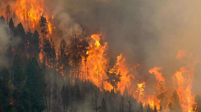 Ein Waldbrand ist eine Naturkatastrophe, die zu den Geschäftsrisiken zählt. © Adobe Stock, David Elkins